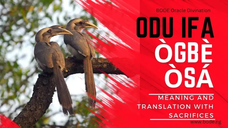 Odu Ogbe Osa